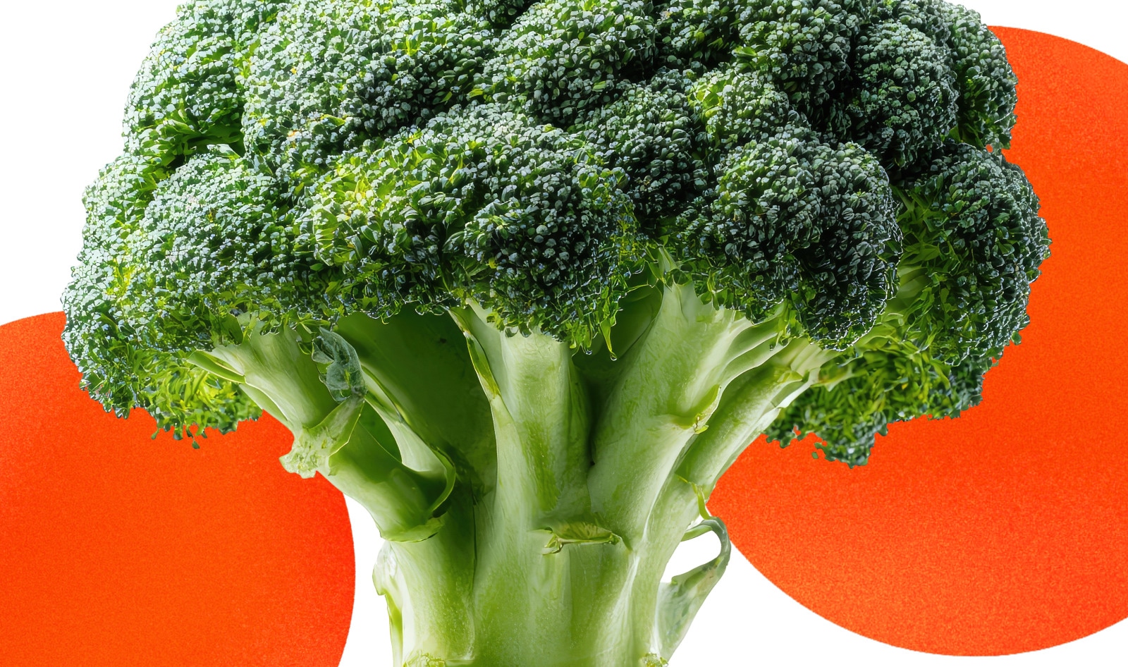 Don't Throw Out Your Broccoli Stems, Make These 7 Tasty Recipes Instead