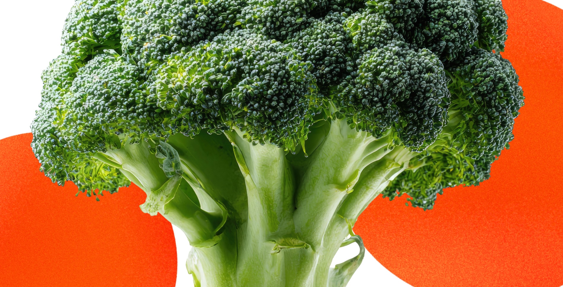 Don't Throw Out Your Broccoli Stems, Make These 7 Tasty Recipes Instead
