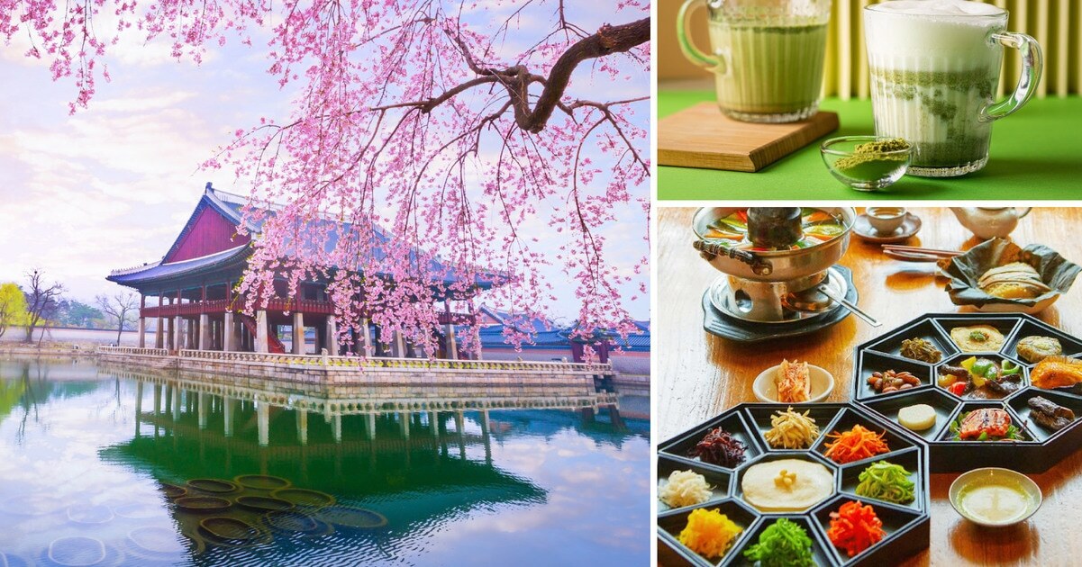 7 Unforgettable Days in South Korea: The Ultimate Vegan Guide