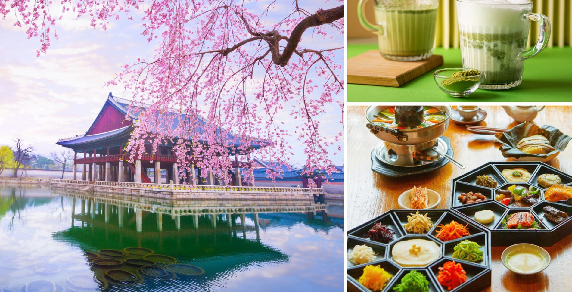 7 Unforgettable Days in South Korea: The Ultimate Vegan Guide