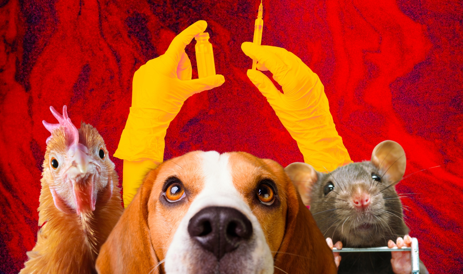 VegNews Report: A World Without Animal Testing Is Closer Than You Think