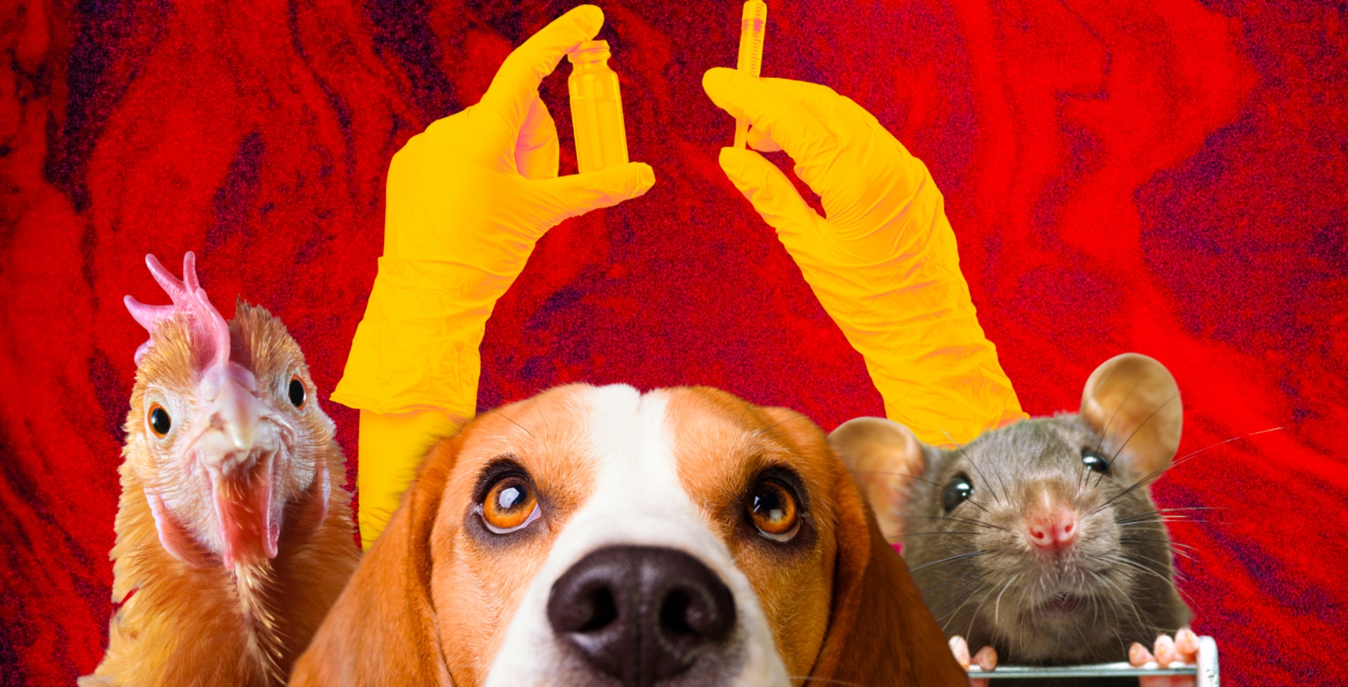 VegNews Report: A World Without Animal Testing Is Closer Than You Think