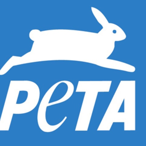 PETA Names Top Restaurants For Celebrity-Spotting