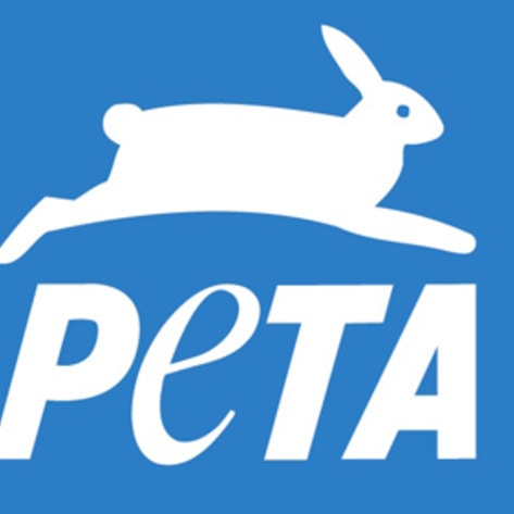 PETA Names Top Restaurants For Celebrity-Spotting