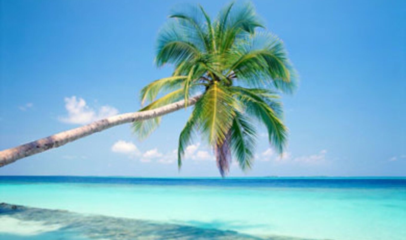 All Aboard the 100-Percent Vegan Holistic Holiday at Sea Cruise