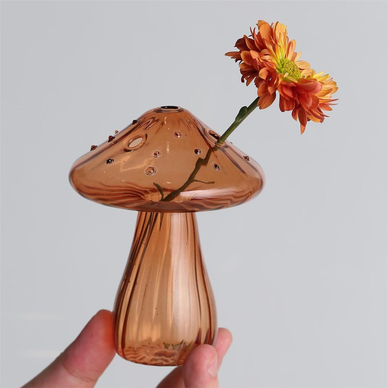 Mushroom Propagation Vase