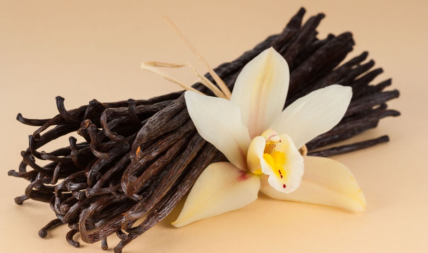 vanilla orchid and vanilla beans