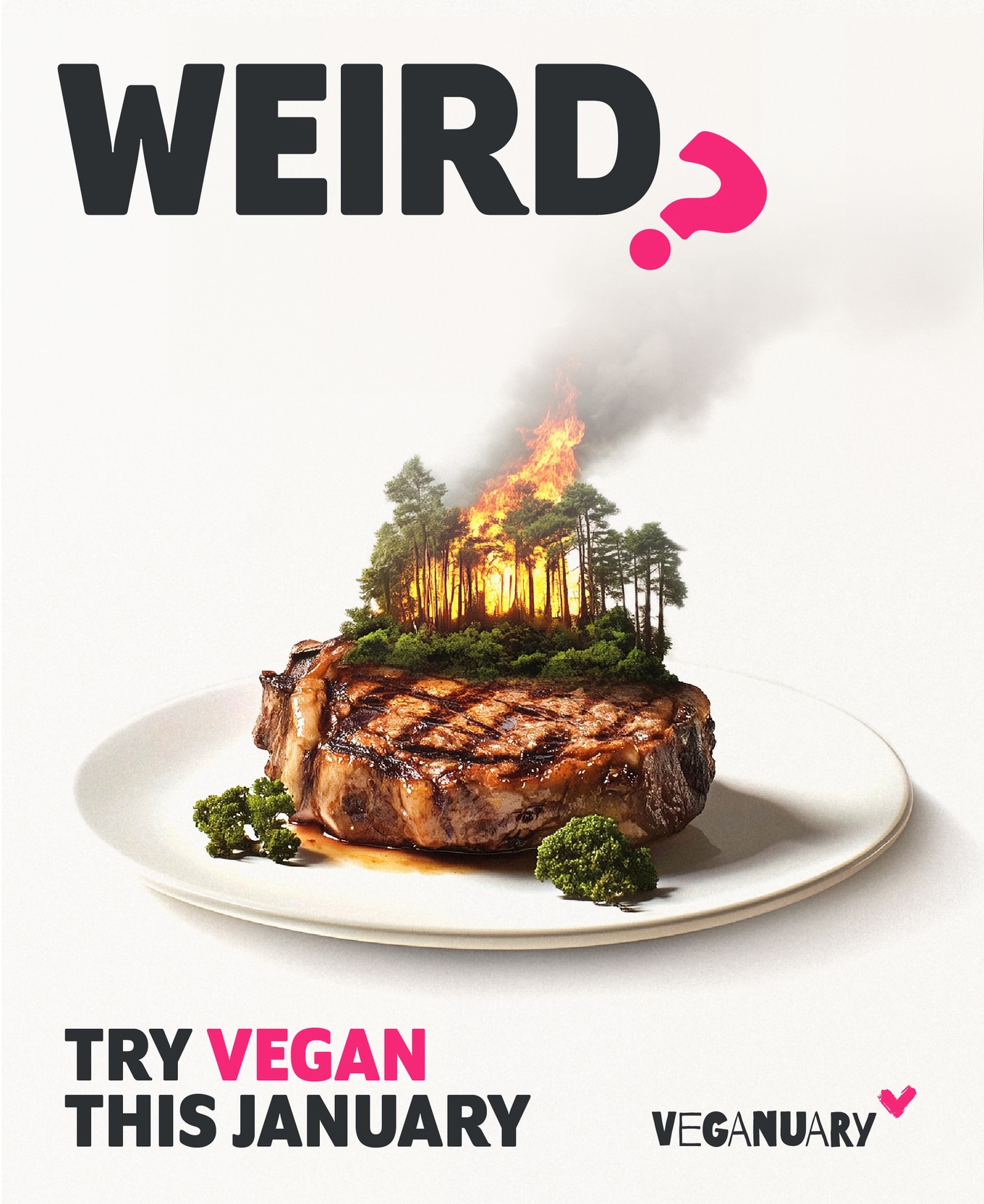 Veganuary weird steak poster