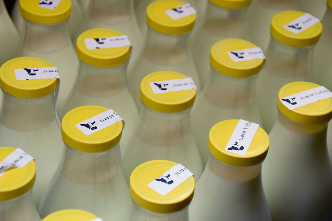Milk-Bottles
