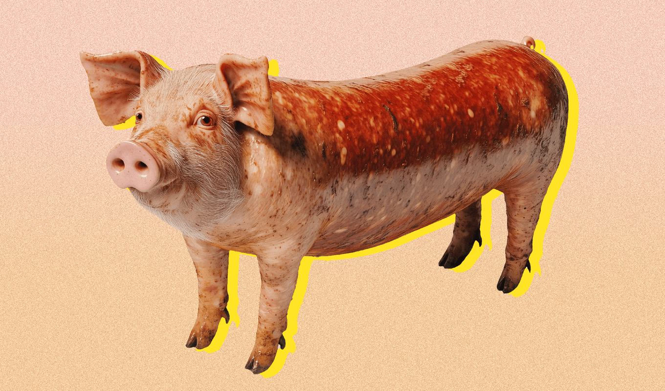 Veganuary-Sausage-Pig