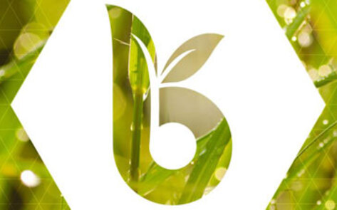 All-Inclusive Vegan Website Will Launch May 1st