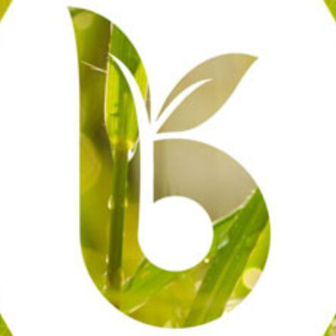 All-Inclusive Vegan Website Will Launch May 1st