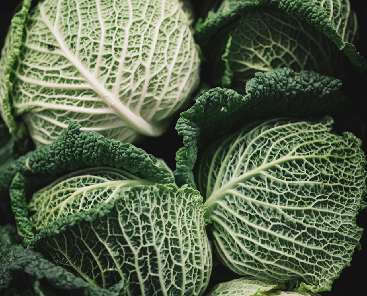 cabbages
