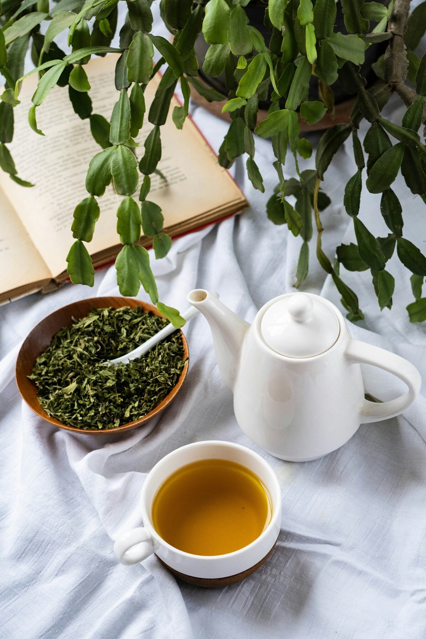 pot of green tea