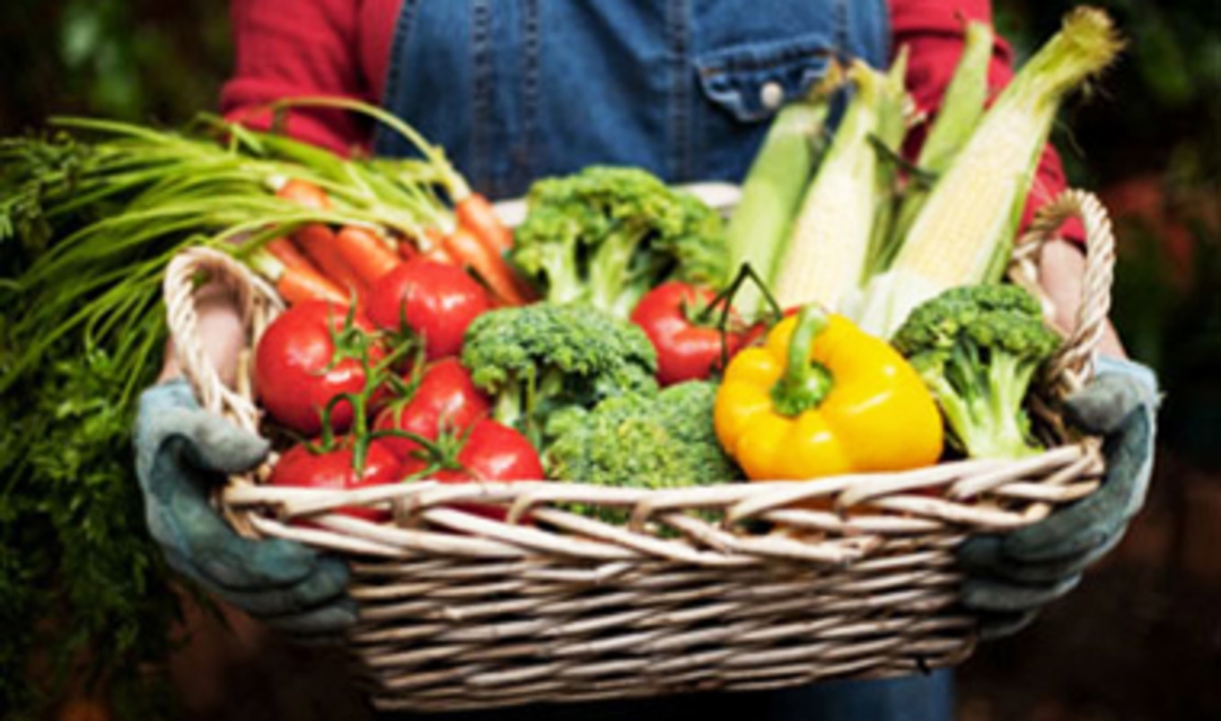 Plant-Based Diet Reduces Colon Cancer Risk