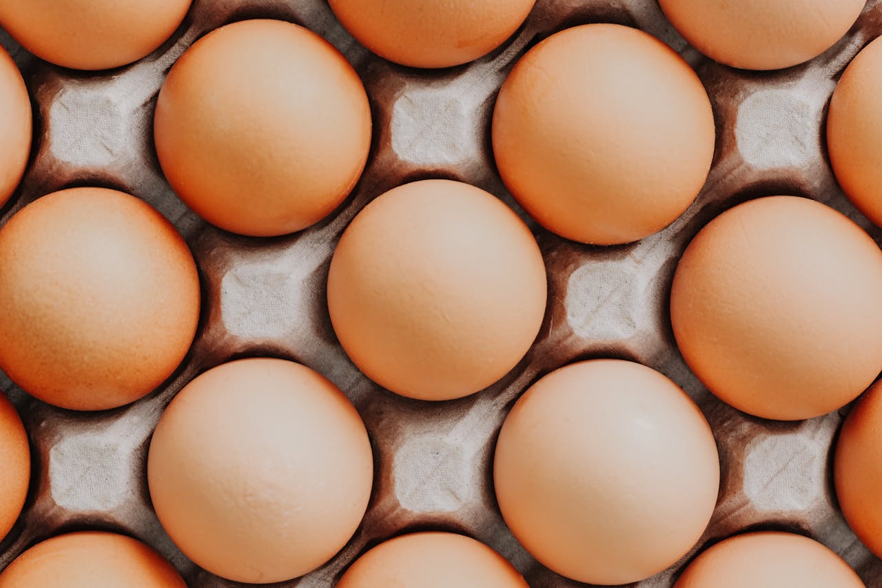 egg closeup