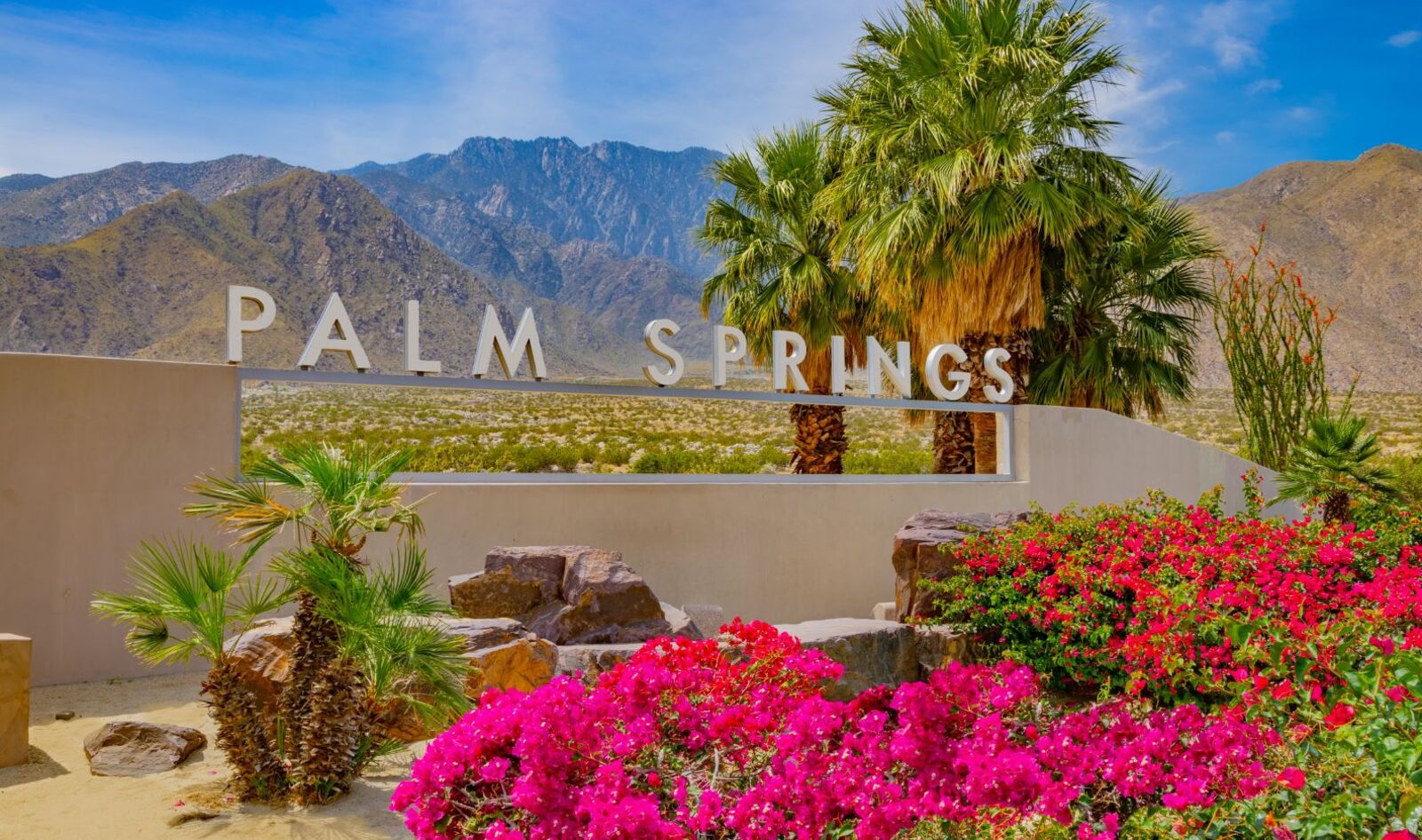 Vegan Food Near Me: Palm Springs and the Coachella Valley