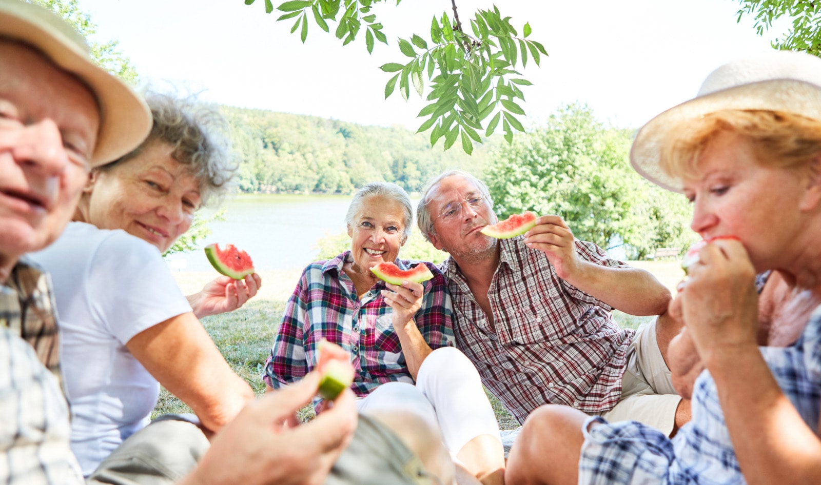 Biological Age May Predict Dementia Risk—Here's Why a Plant-Based Diet Could Help Slow It Down