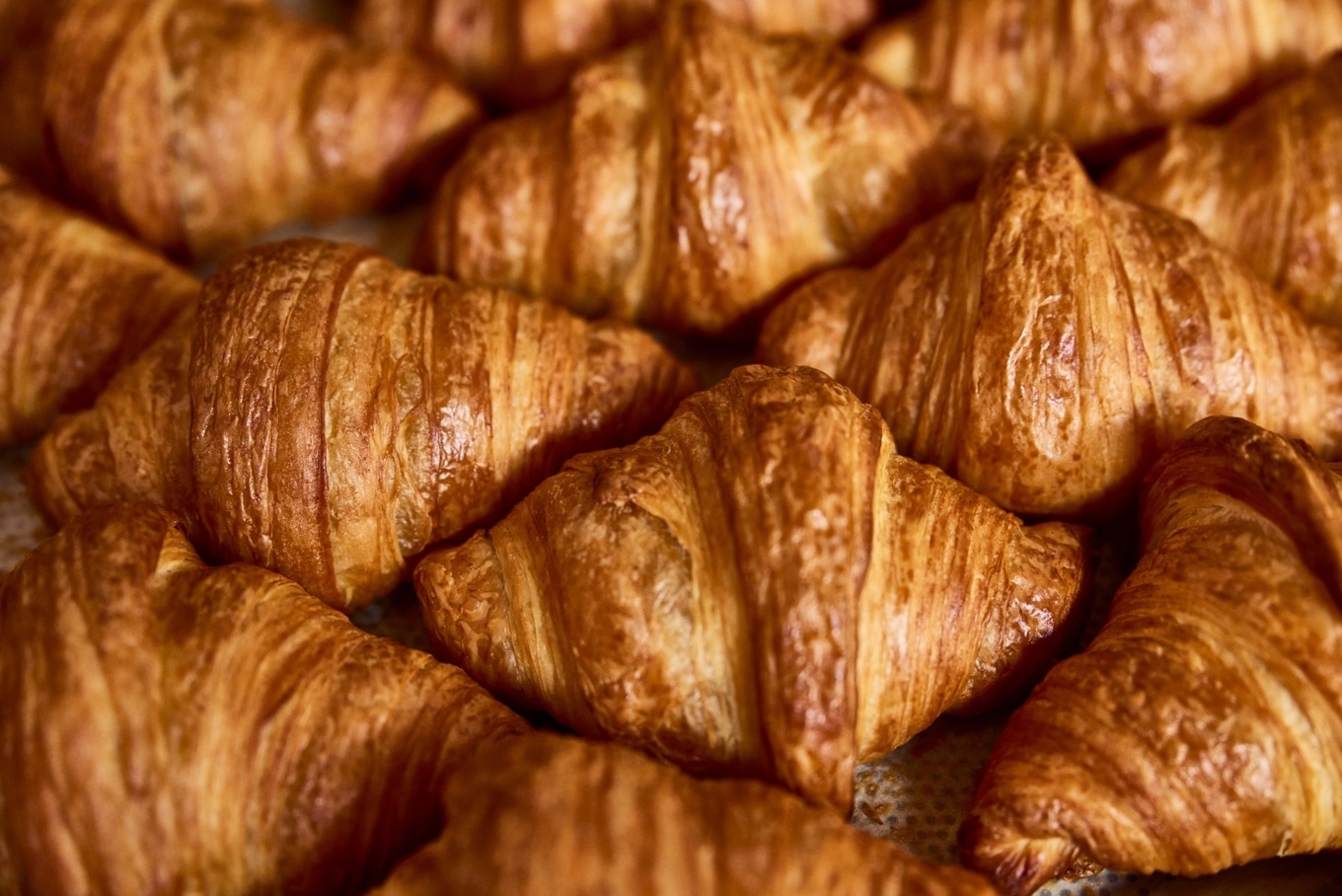 savor croissants