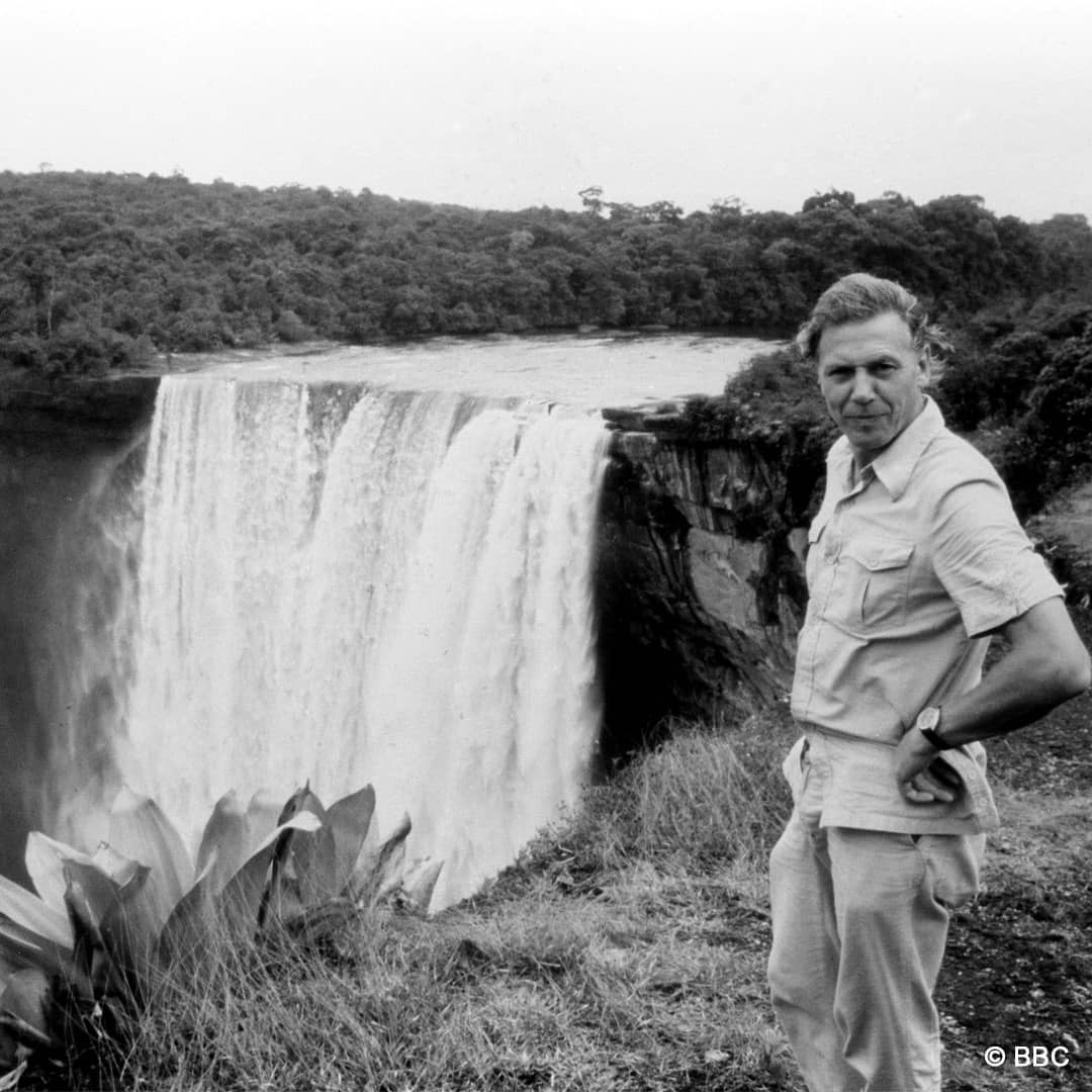 young david attenborough