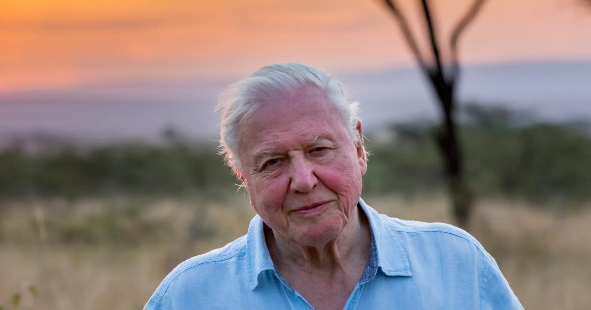 David Attenborough Just Turned 99, These Are the 5 Lifestyle Habits He Shares With the World’s Longest-Living People