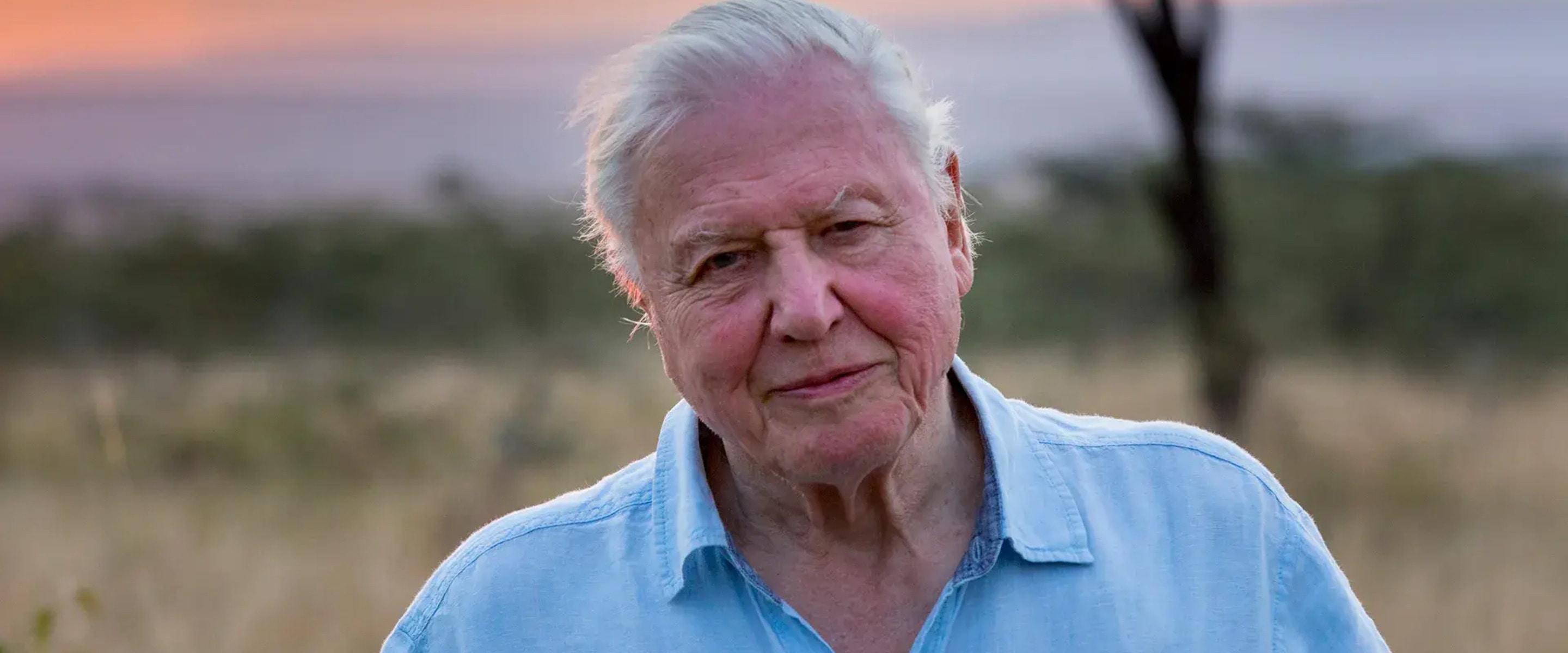 David Attenborough Just Turned 99. These Are the 5 Lifestyle Habits He Shares With the World's Longest-Living People