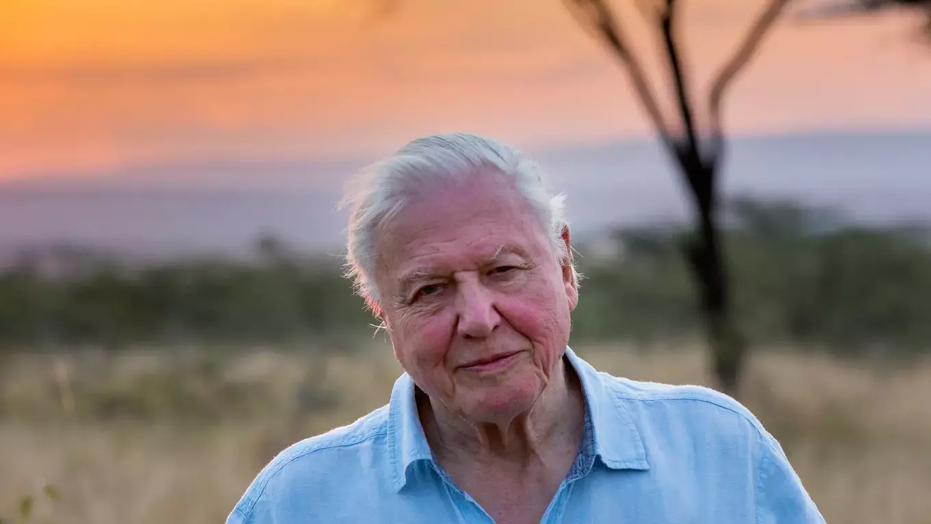 David Attenborough