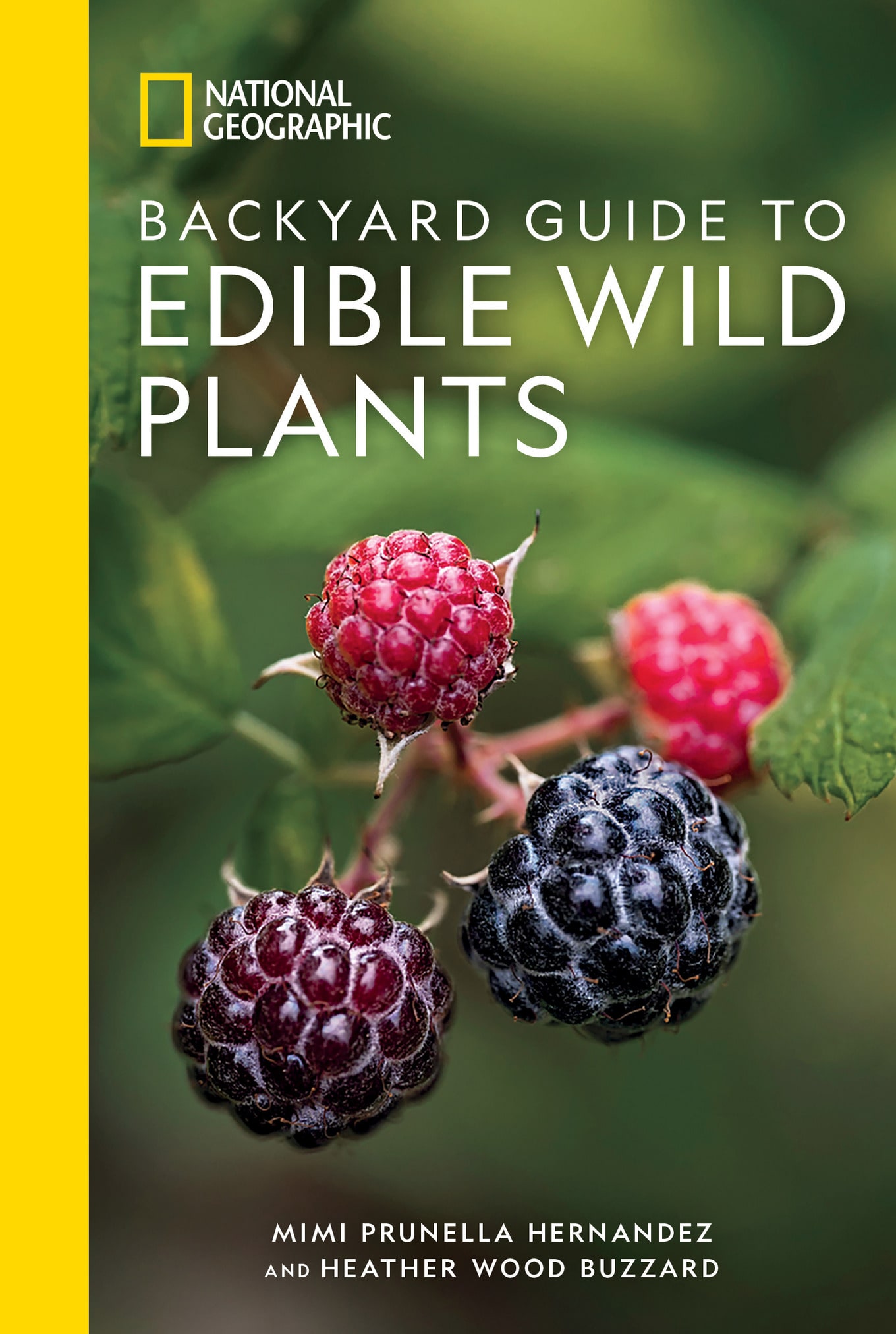 Edible Wild Plants Cover