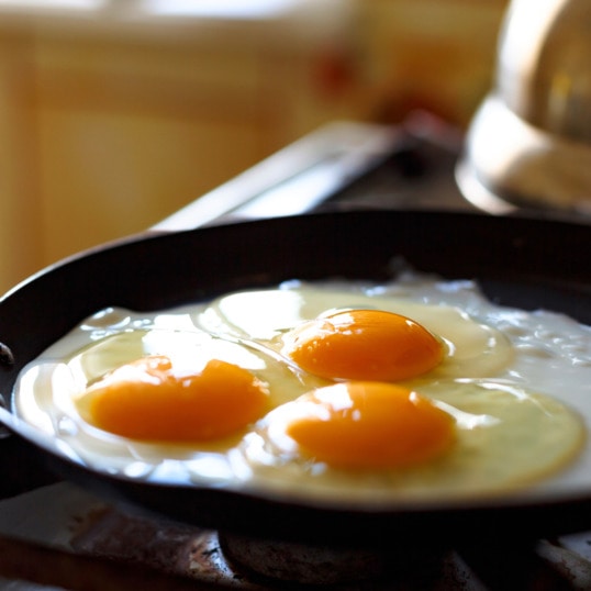 The Hidden Dangers of Mono Diets: Why Experts Urge Caution