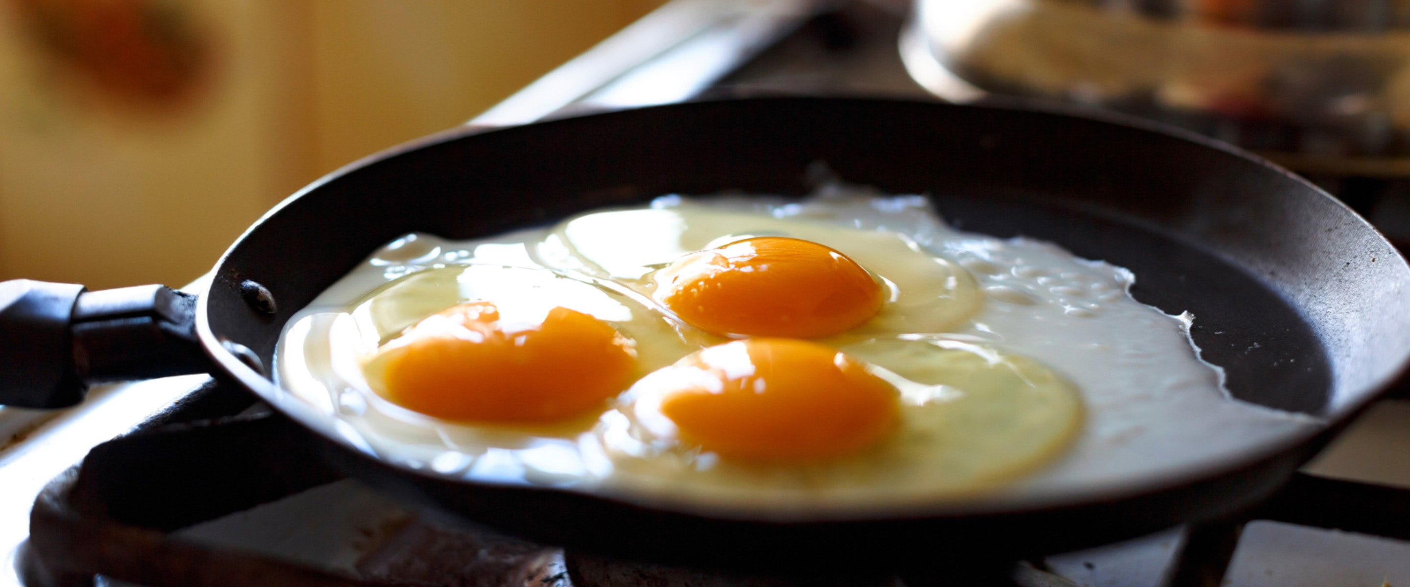 The Hidden Dangers of Mono Diets: Why Experts Urge Caution