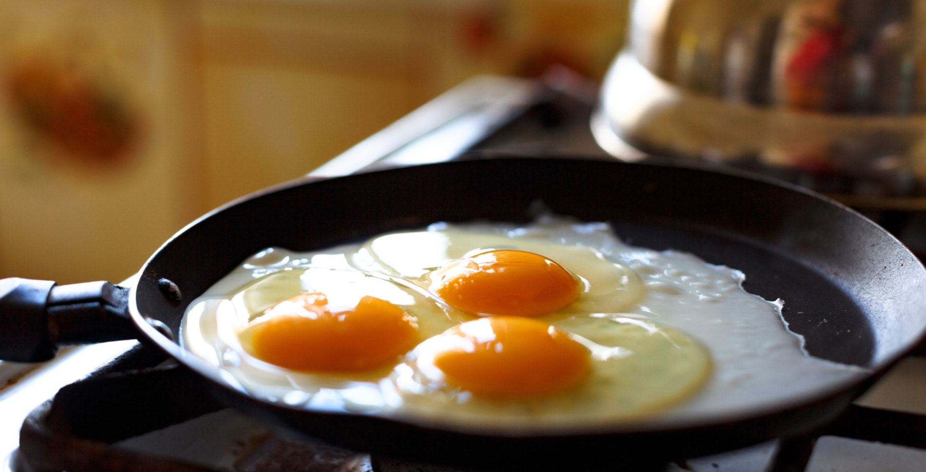 The Hidden Dangers of Mono Diets: Why Experts Urge Caution