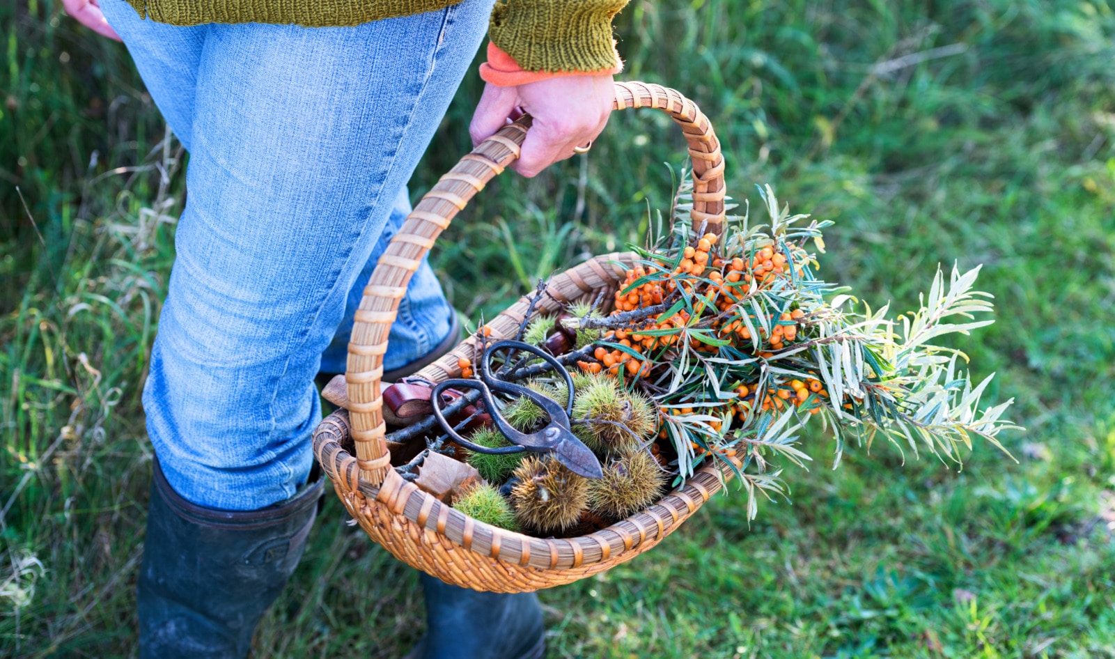 In the Face of Crisis, These Herbalists Say the Future of Food Is Wild