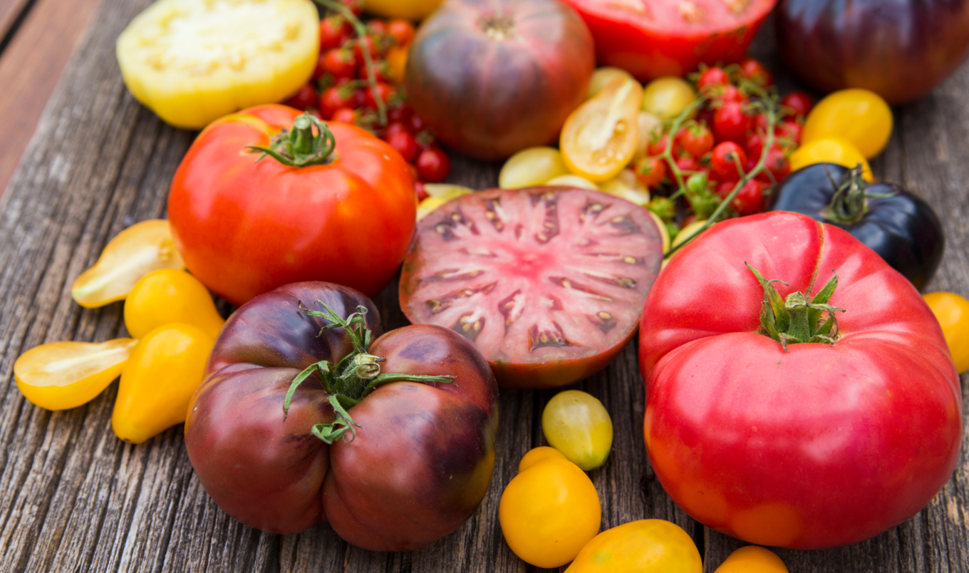 heirloom tomatoes