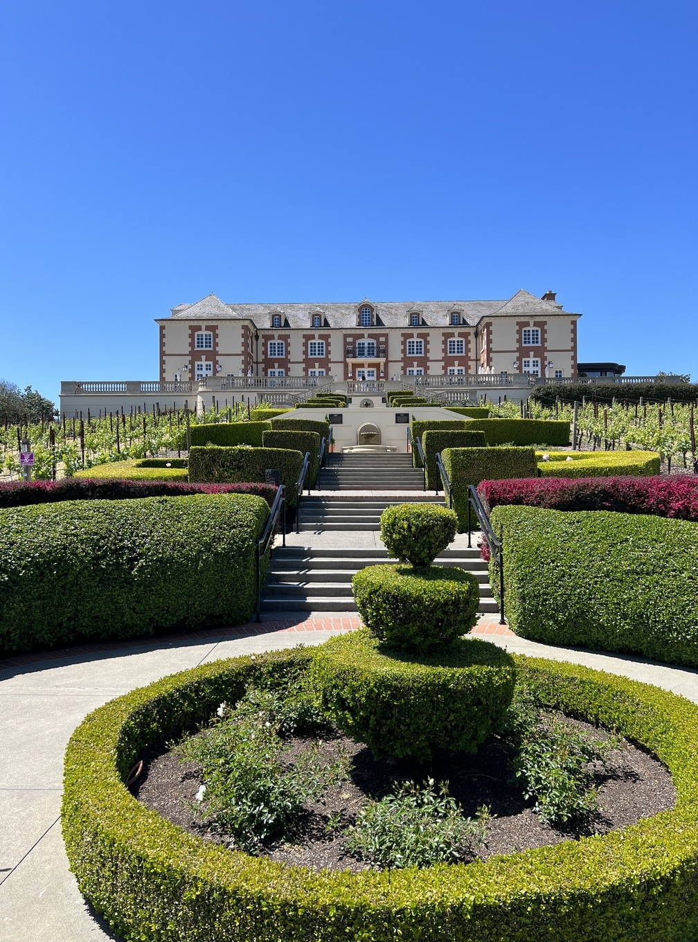 Domaine Carneros vineyard