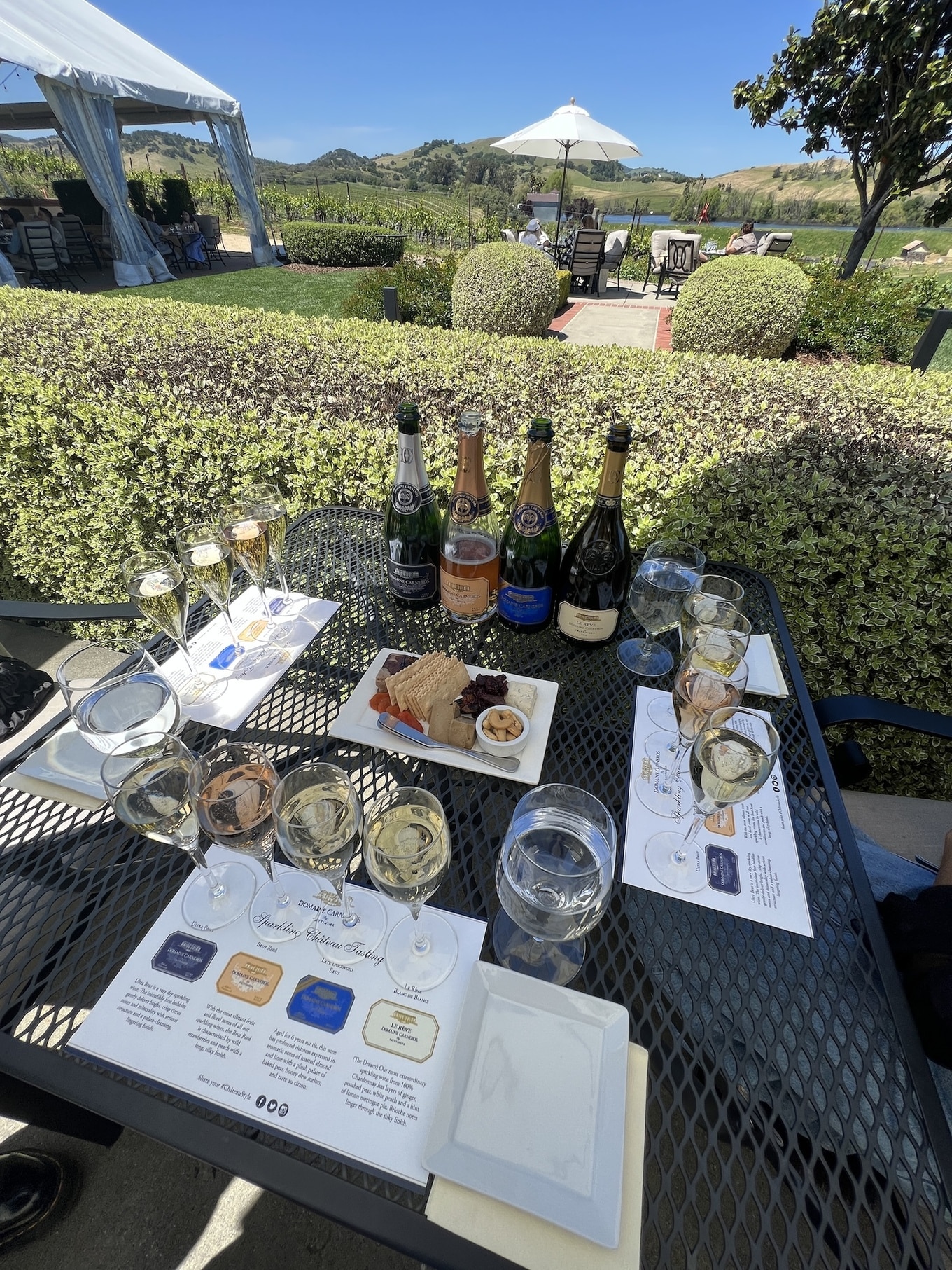 Domaine Carneros vineyard
