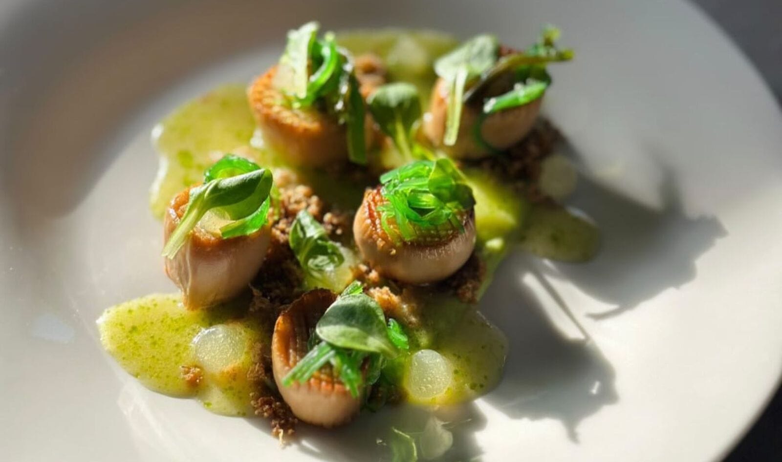 Your New Favorite Vegan Destination: This Plant-Based Hotel in Greece