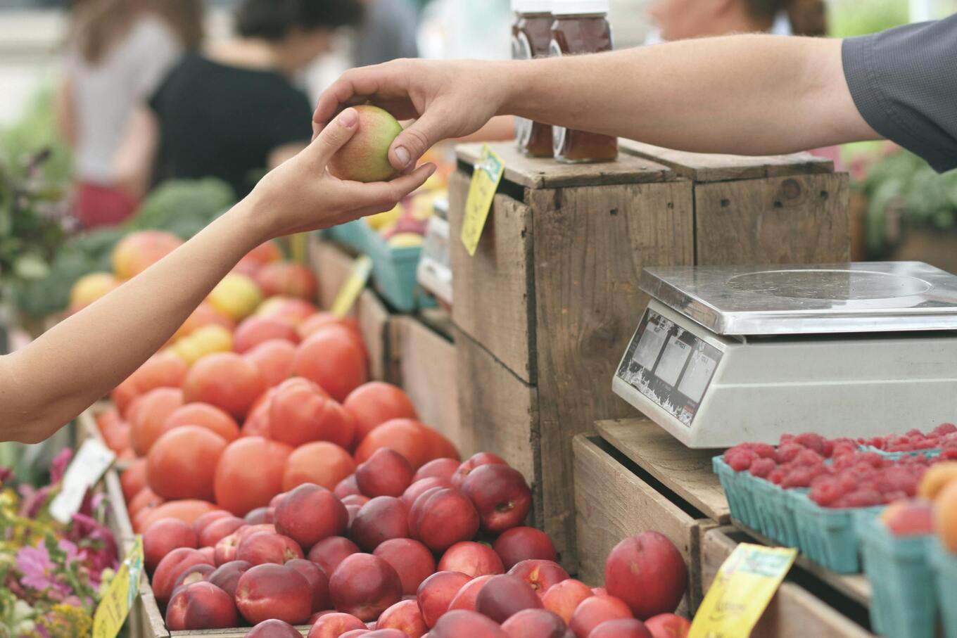 shopping for fruit
