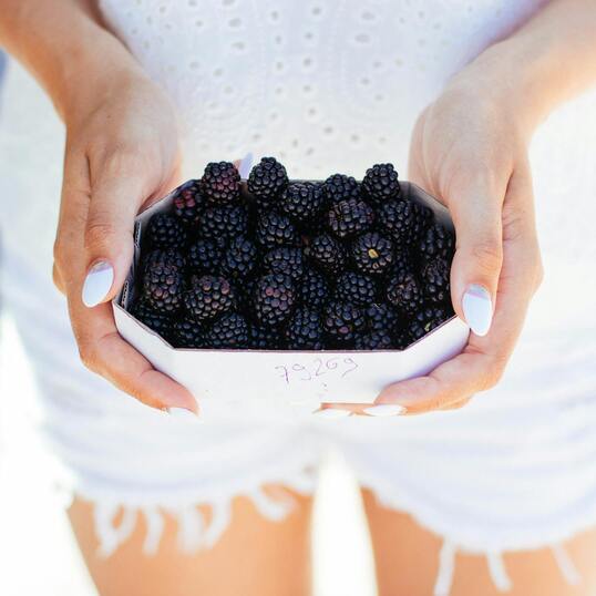 Think You Know Protein? These Meat-Free Foods Might Surprise You