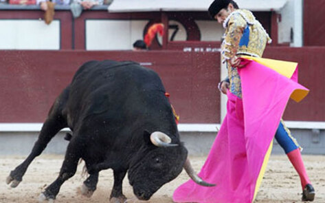 European Parliament to End Bullfighting Subsidies