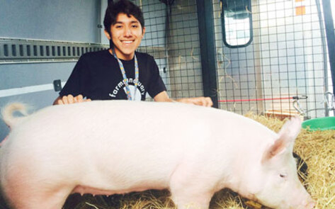 Teen Abandons Future Farmers Program, Saves Pig Instead