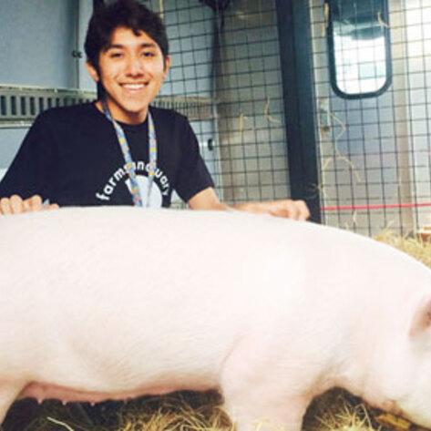 Teen Abandons Future Farmers Program, Saves Pig Instead