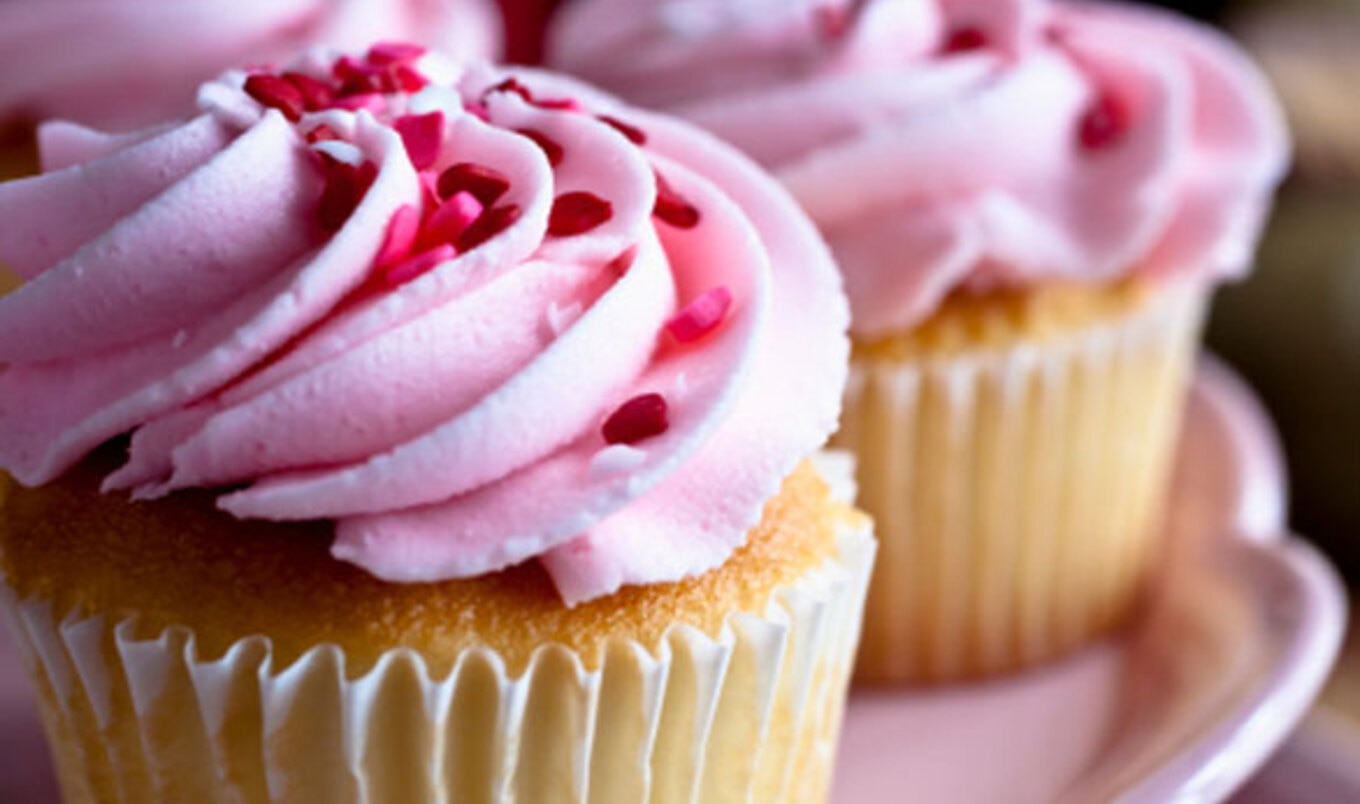 Interview with Worldwide Vegan Bake Sale Organizer Gary Loewenthal