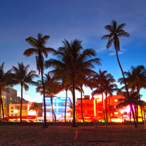 A Professional Vegan's Guide to Miami