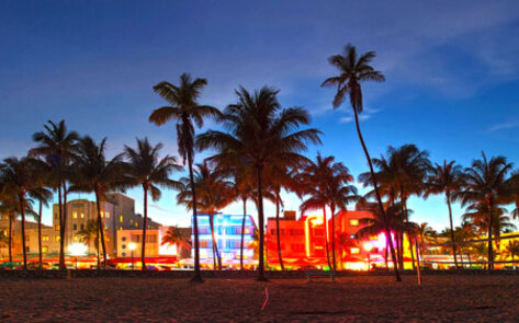 Vegan Pop-Up Culinary Academy to Come to Miami