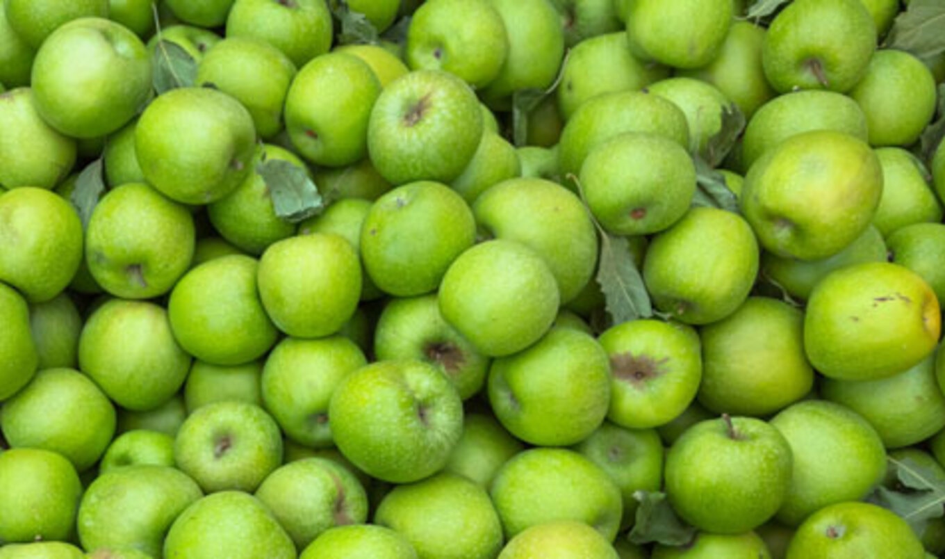 FDA Issues New Rules for Fruit and Vegetable Production