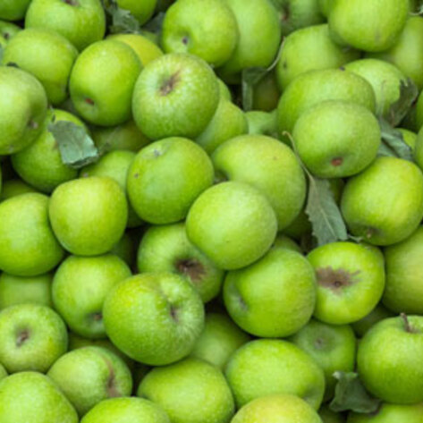 FDA Issues New Rules for Fruit and Vegetable Production