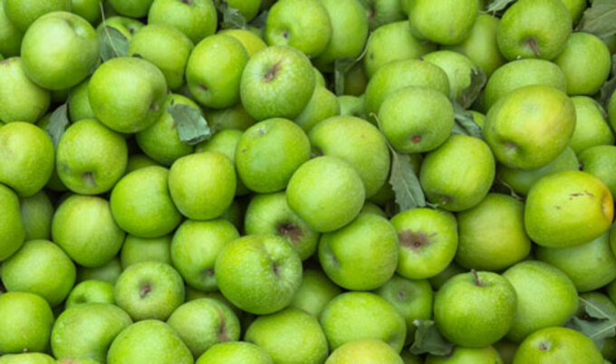 VegNews.GreenApples
