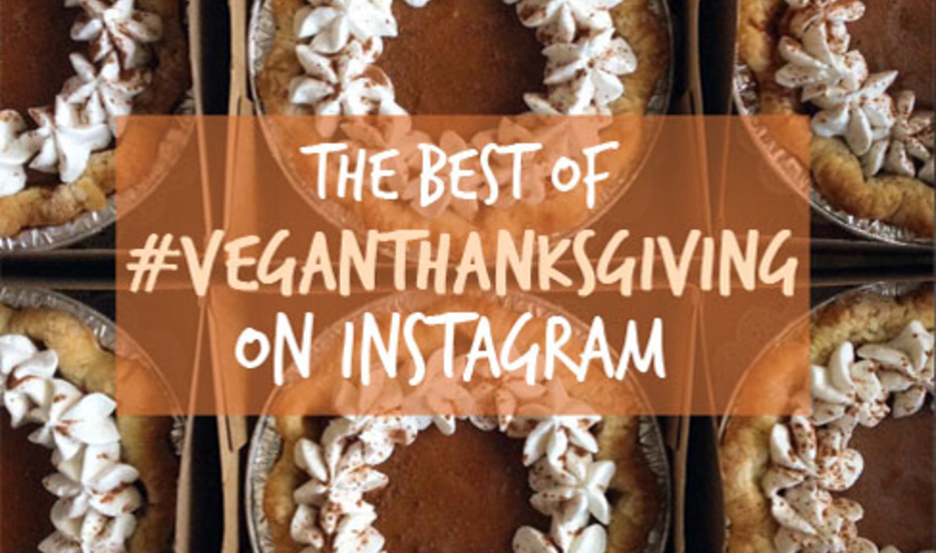 11 Best Vegan Thanksgiving Instagram Posts