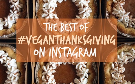 11 Best Vegan Thanksgiving Instagram Posts