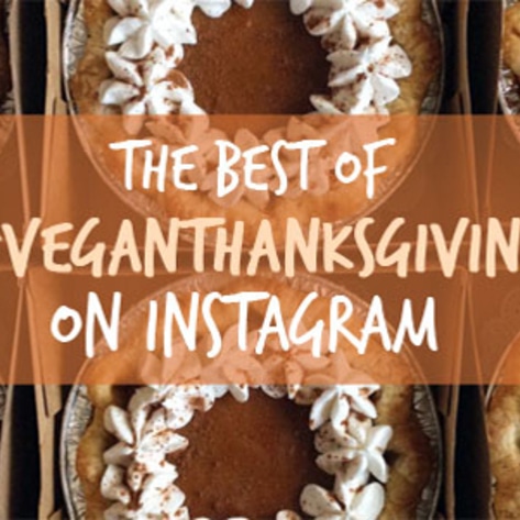 11 Best Vegan Thanksgiving Instagram Posts